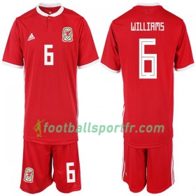 Tenue Pays de Galles WILLIAMS 6 Enfant Domicile 2018-2019 Maillot de Foot
